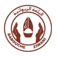 Babouche Ziwani